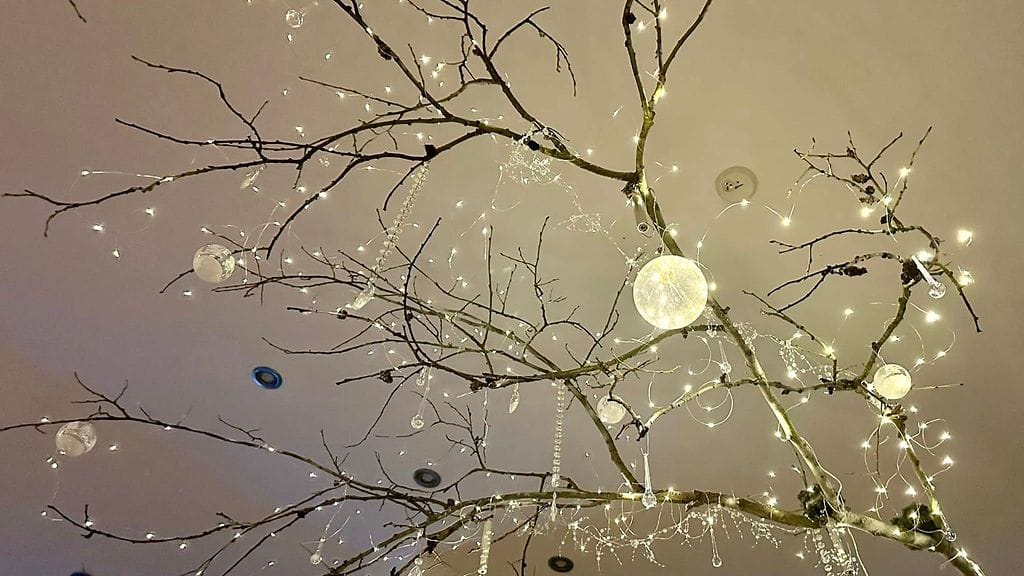 Anna-Marin jouluoksa