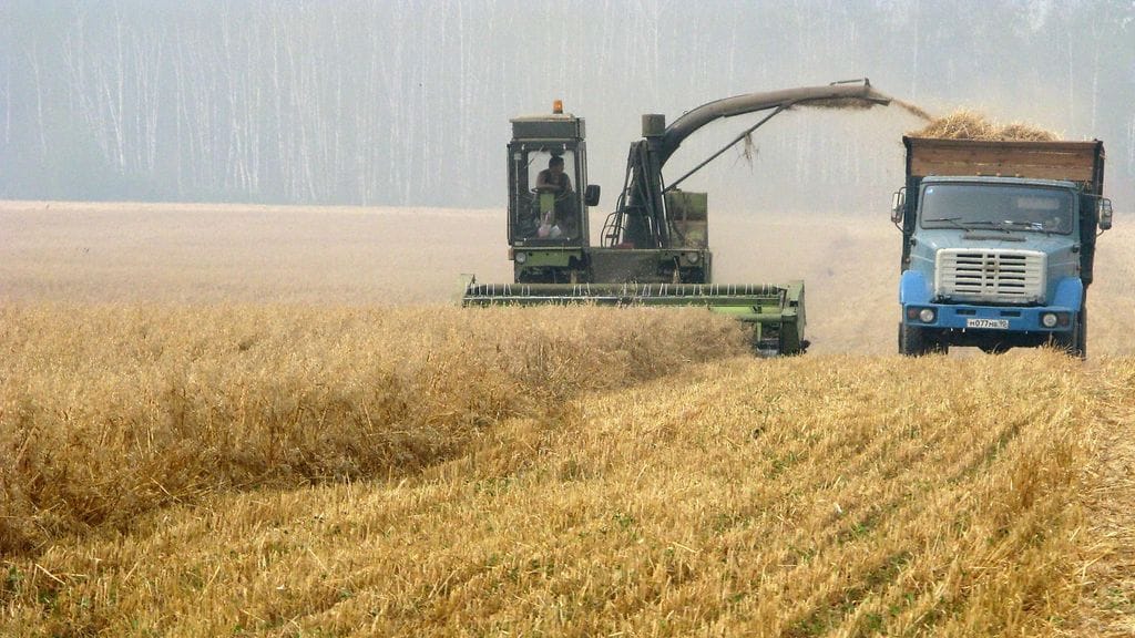 Arkistokuvassa puintia Moskovan lähistöllä vuonna 2010.