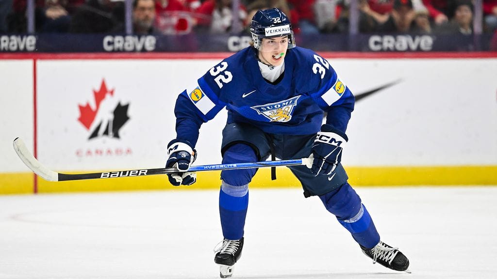 Emil Hemming kertoi, miten Ruotsiin suhtaudutaan.