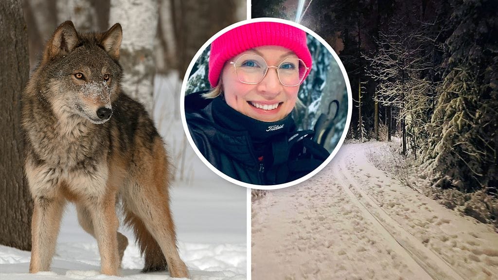 Jenna Lehti kohtasi kaksi sutta suosikkilenkkipolullaan Kauniaisissa.