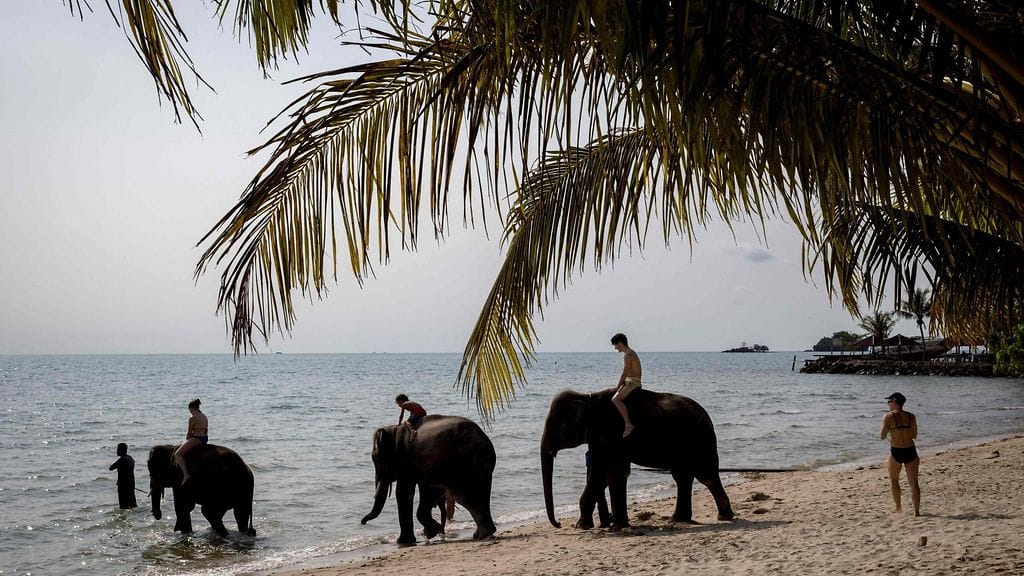 Turismi on erittäin tärkeä osa Thaimaan taloutta, sillä se muodostaa lähes viidenneksen maan bruttokansantuotteesta.