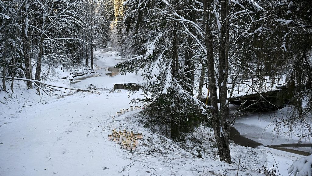 nurmijärvi lehtikuva silta 2