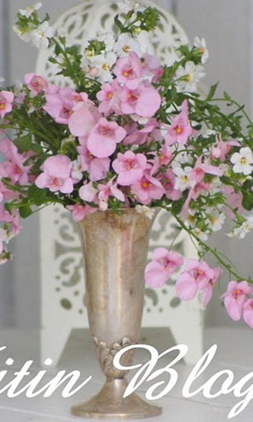 Kuva: Tuula Vitikainen