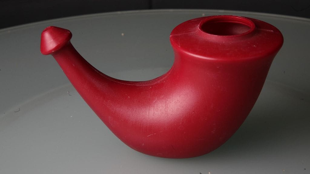 AOP Sarvikuono eli nenäkannu.