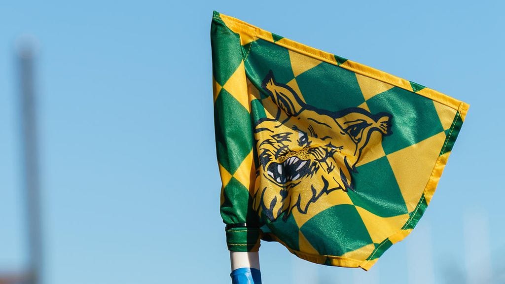 Ilves ryhtyi tositoimiin.