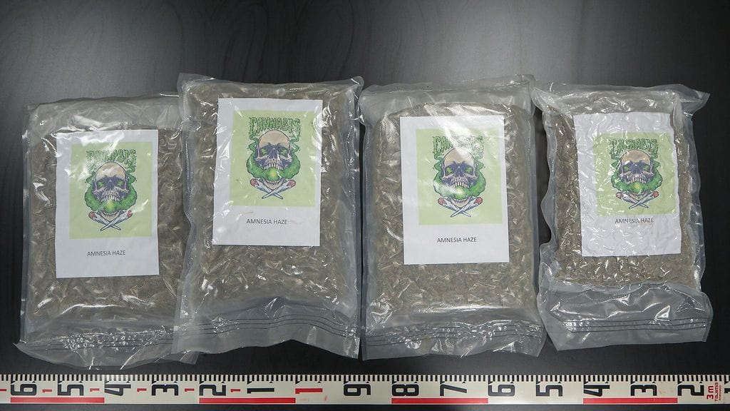 Poliisi epäilee Albaniasta johdetun rikollisverkoston tuoneen Suomeen muun muassa useita kiloja kokaiinia ja satoja kiloja kannabista.