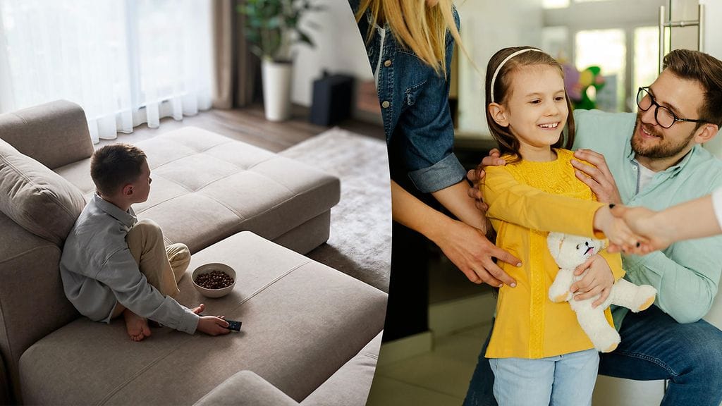 Suosimisen selvittämiseksi tarkasteltiin viittä osa-aluetta.