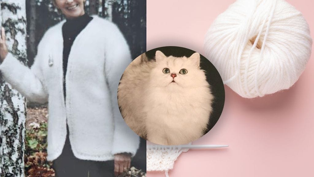 Susannan äidin kissankarvatakki, jota varten kerättiin karvaa vuosia. Pikkukuvassa Donna.