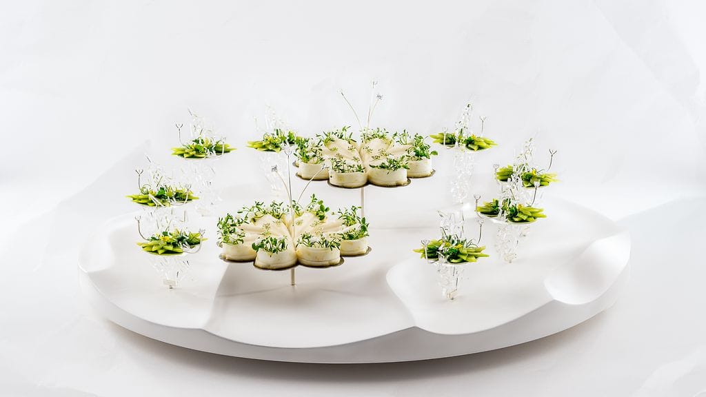 lianapressfile-1737981894411