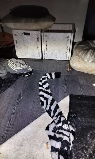 tuhottu asunto varkaus 3