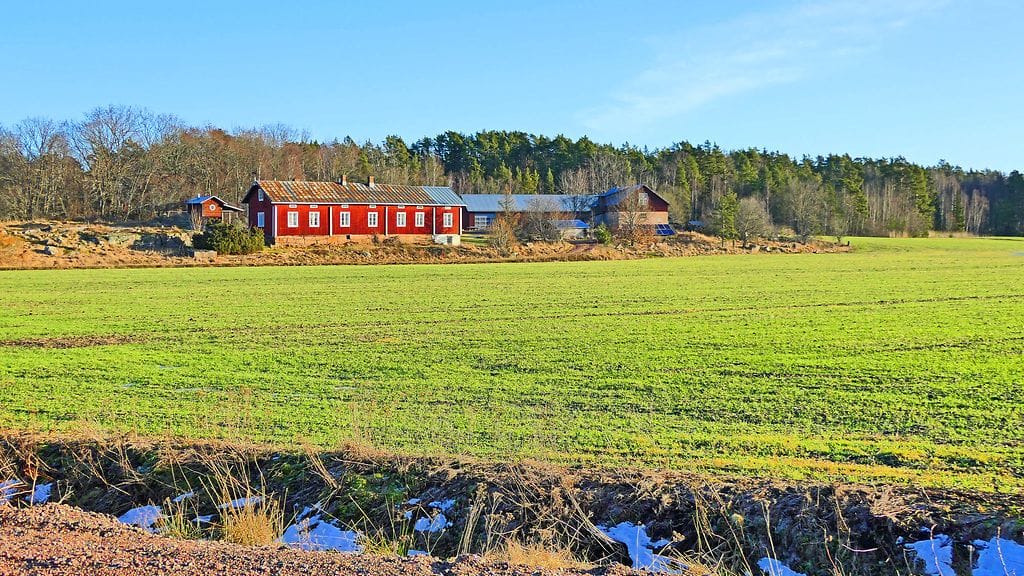 Lukijan kuva, Keijo Väänänen, Uusikaupunki