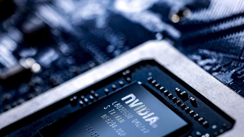 LK Nvidia mikrosiru 29012025