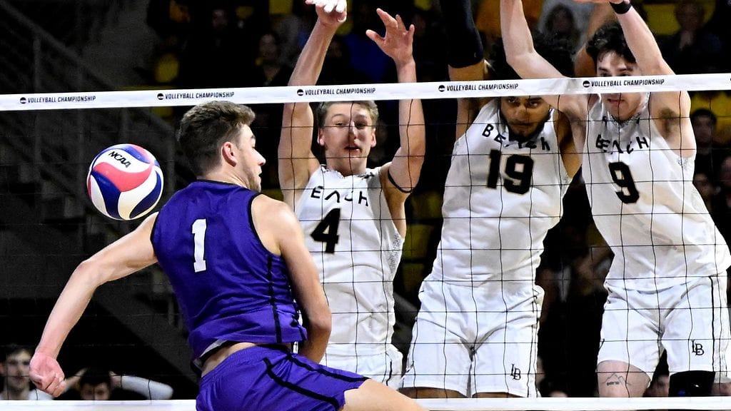 Camden Gianni (etualalla numerolla 1) teki aiemmin kovaa jälkeä Grand Canyonin yliopiston lentopallojoukkueessa.