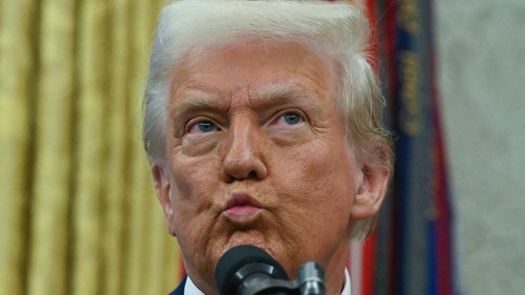 Donald Trumpin tiimi on Wall Street Journalin mukaan valmistellut presidentin asetusta opetusministeriön rampauttamiseksi.