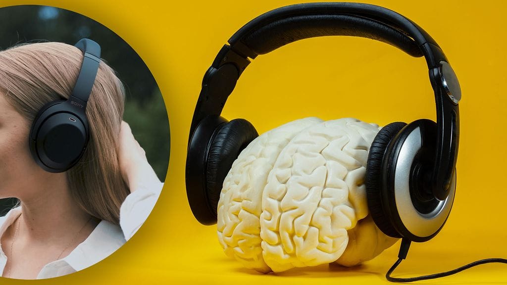 On mahdollista, että jatkuva "arkihälyn" poistaminen johtaa tilanteeseen, jossa aivot ikään kuin unohtavat kyvyn häivyttää meteliä.