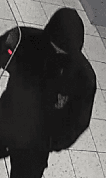 Jokioisten ryöstäjä