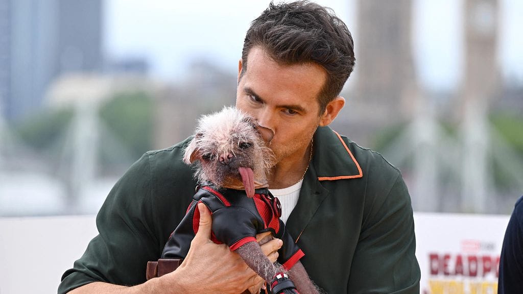 2402 AOP PEGGY KOIRA