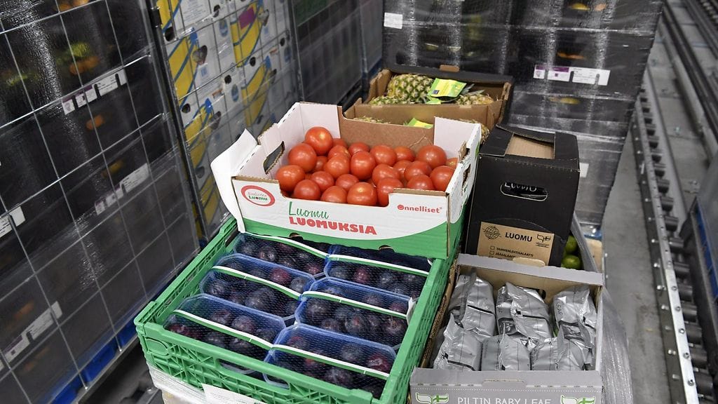 Kuvituskuva. Hedelmiä ja vihanneksia SOK:n logistiikkakeskus Inex Partnersilla Sipoossa torstaina 16. marraskuuta 2017.