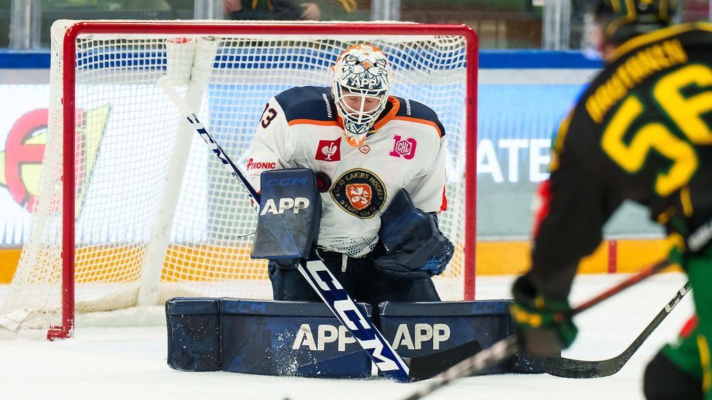 Emil Larmi on pelannut loistavaa kautta Växjön maalilla.