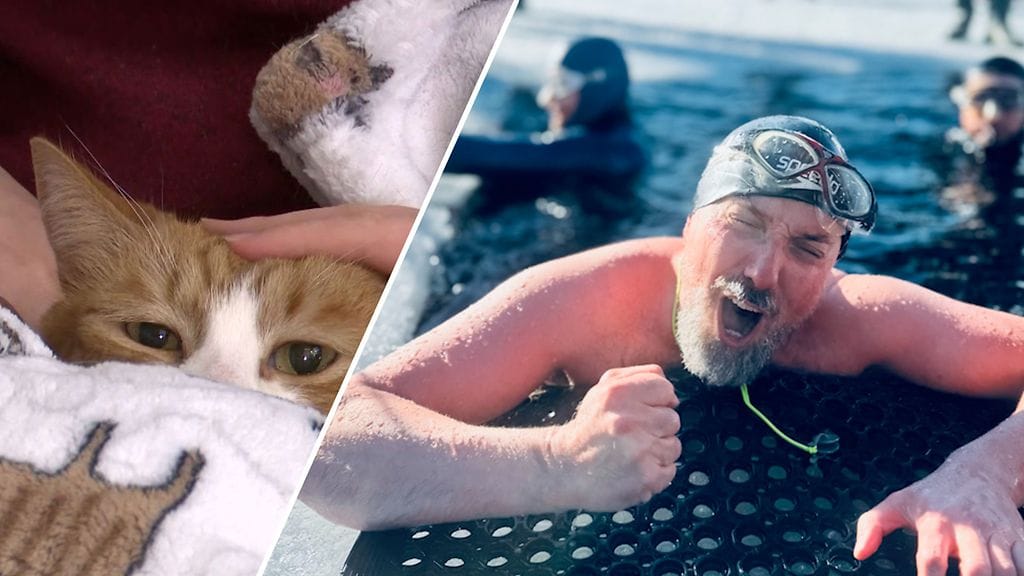 Sunny-kissa löytyi odottamattomasta paikasta. Olavi puolestaan teki maailmanennätyksen hurjalla tempulla.