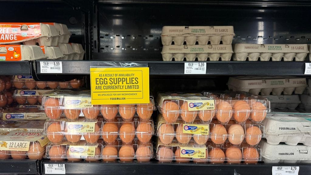 Kananmunapula vaivaa Yhdysvaltoja ja se näkyy kauppojen hyllyillä. Kuva otettu tammikuussa 2025 Richmond Hillissä Georgian osavaltiossa.
