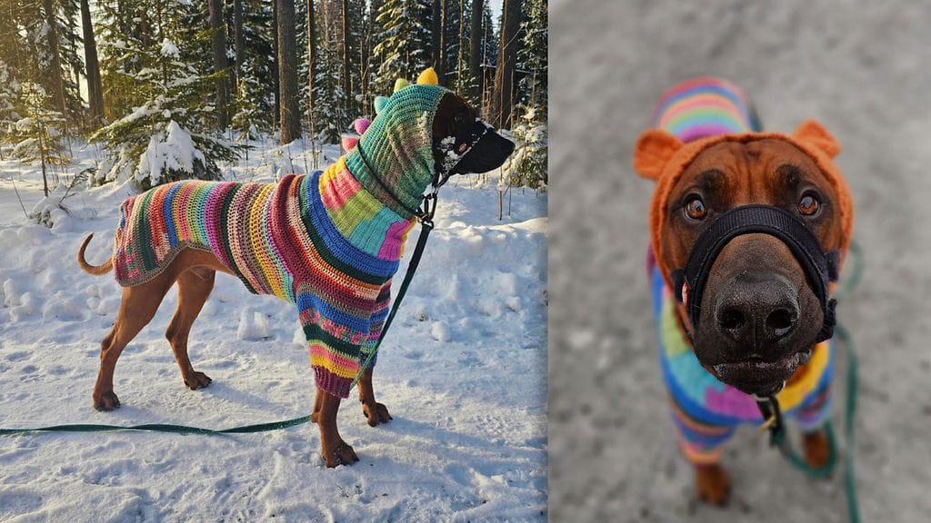 Soran haalari herättää ihailua.