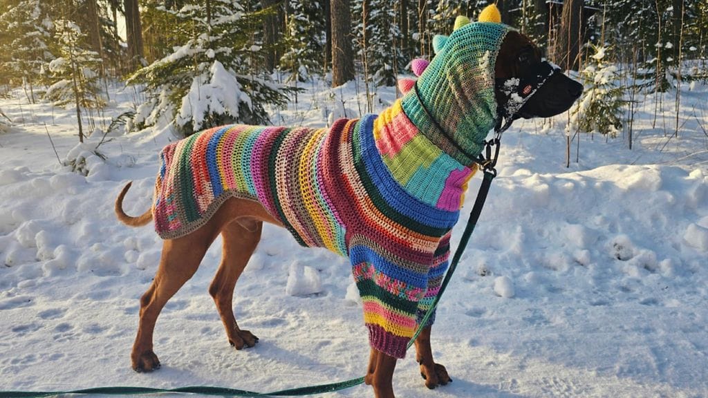 Soran haalari herättää ihailua. Kuva Essi Garcia