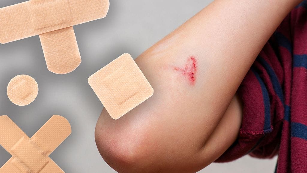 Solut "huusivat" omaan pituuteensa nähden jopa 40-kertaisen matkan päähän