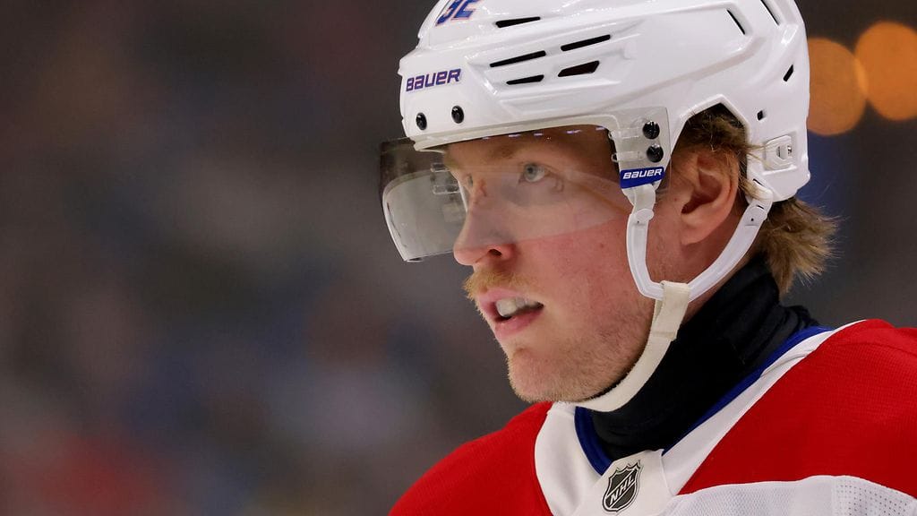 Laine palasi jäälle.