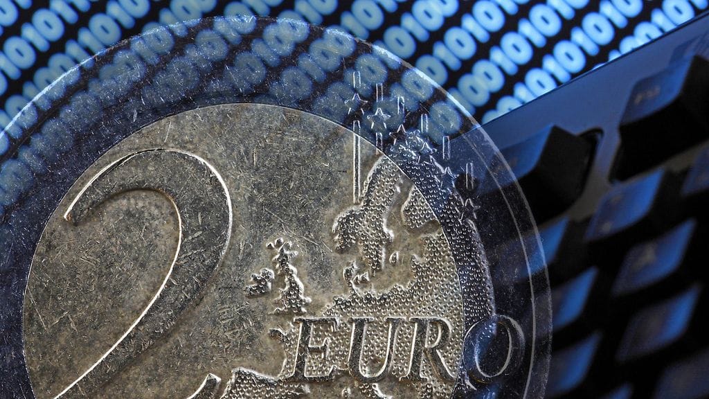 2503 AOP RAHA VERKKO