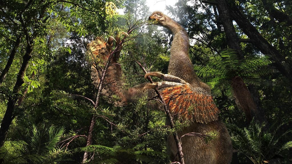 Tutkijan mukaan Duonychus tsogtbaatarit näyttivät jättiläismäisiltä höyhenpeitteisiltä laiskiaisilta. Kuva on taitelijan näkemys muinaisesta eläimestä.
