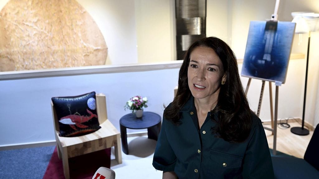 Lk Stubbin virka-asunto Ines 29.3.2025