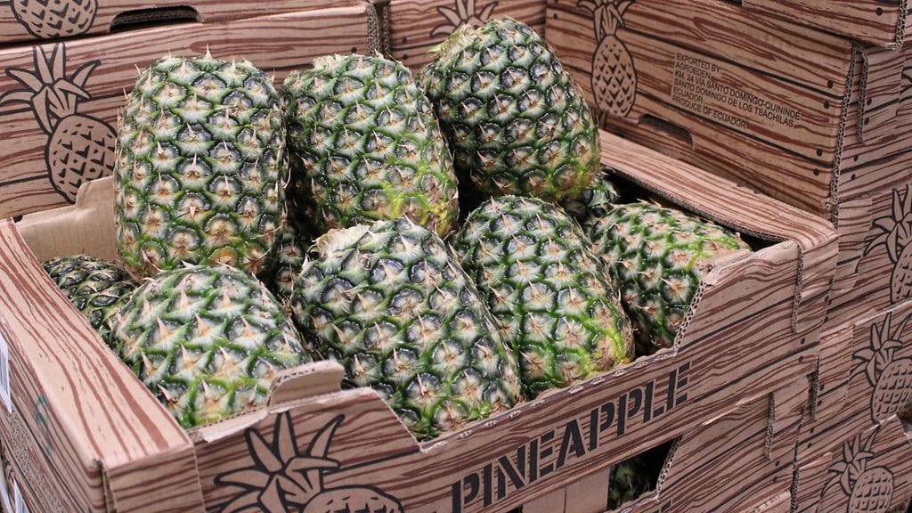 Osasta Lidleistä ananaksen voi ostaa ilman lehtikruunua uuden kokeilun myötä.