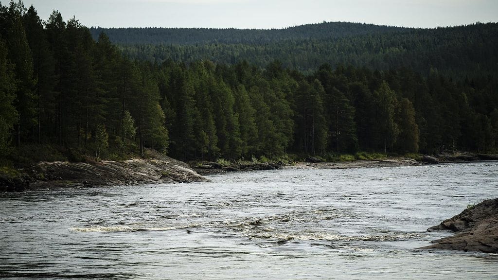 Kuvassa Kattilakoski Tornionjoella Ylitorniolla 29. elokuuta 2024.