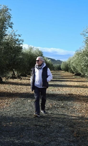 Maajussi-Ville oliivitilalla