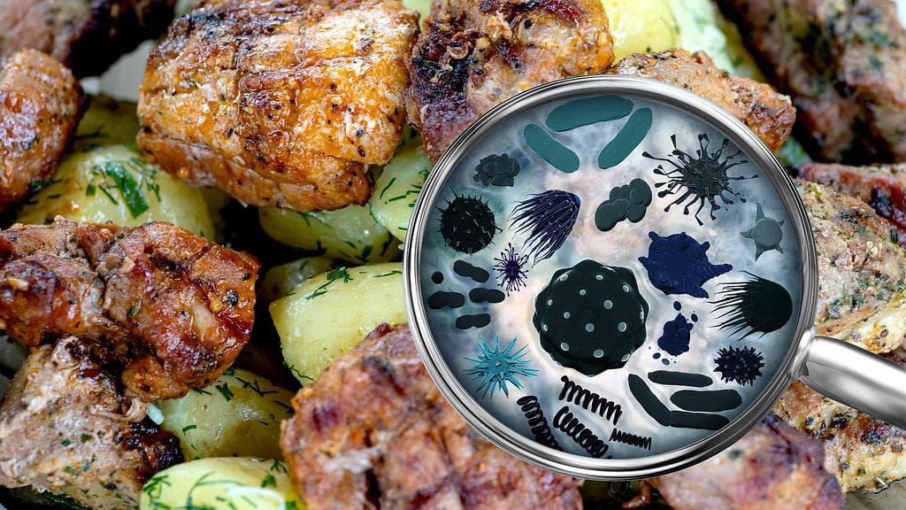 Tutkimuksen mukaan ruokamyrkytys saattaa muuttaa aivoja pitkäaikaisesti.