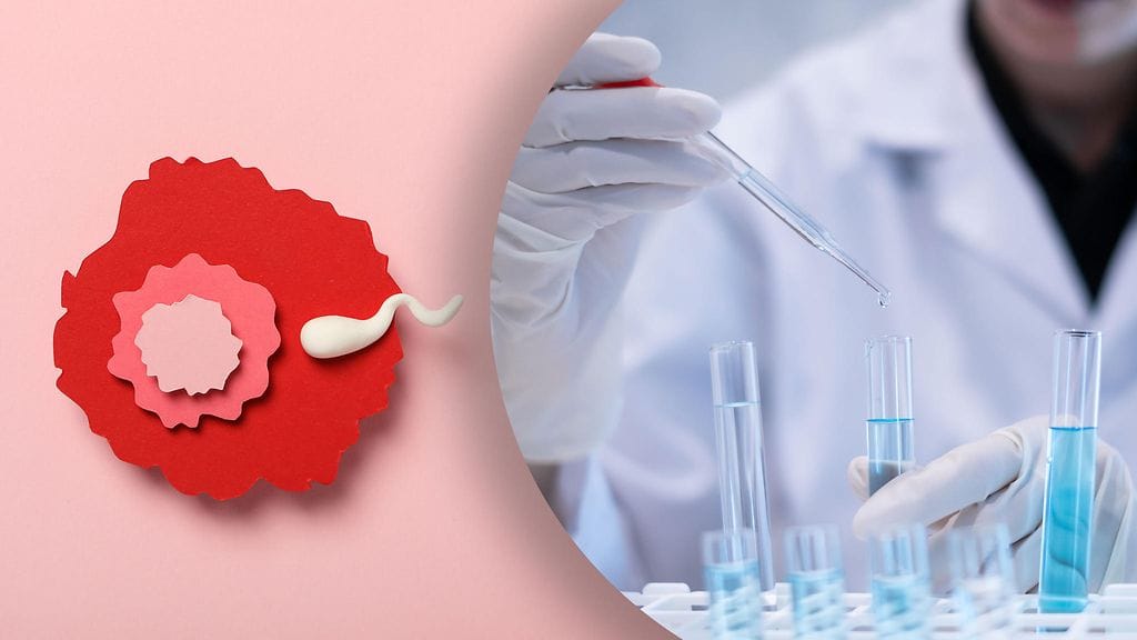 Toistaiseksi on liian aikaista sanoa, toimiiko siirre.