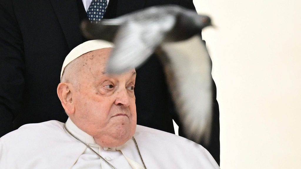 LK 13.4.2025 Kyyhkynen lensi paavi Franciscuksen ohi palmusunnuntain messun jälkeen Pietarinaukiolla Vatikaanissa 13. huhtikuuta 2025.