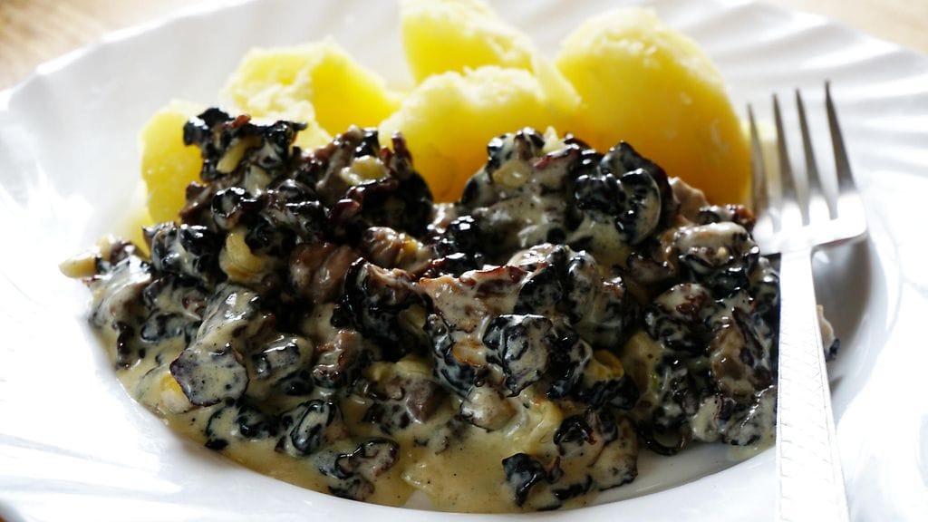 Korvasienten käsittelyohjeisiin ei tullut muutoksia Ruokaviraston tuoreen selvityksen pohjalta.