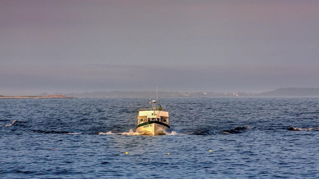 Ihmishenkiä vienyt tragedia on ollut ammattikalastusliigalle sydäntäsärkevä tapaus. Kuvituskuva.