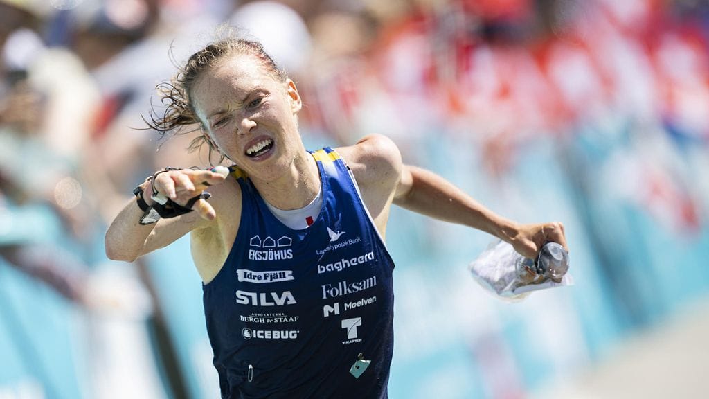 Tove Alexandersson tarkentaa sanomisiaan.
