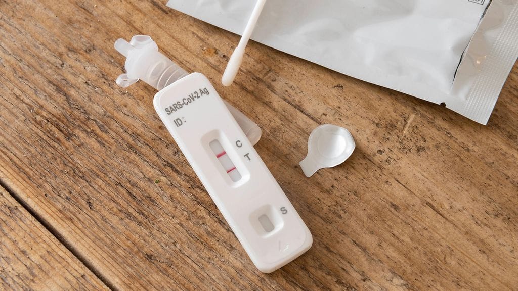 Pandemian aikaisissa painajaisissa nähtiin selvästi tavallista enemmän vakavaa sairastumisen uhkaa.