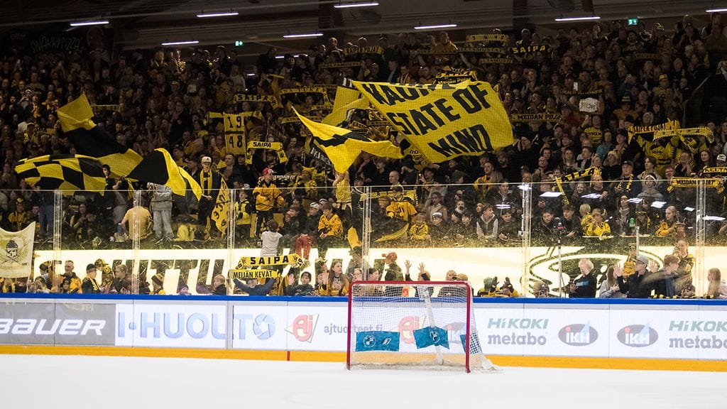 Kisapuisto on maanantaina täynnä.
