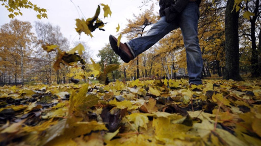 Lehtikuva/Mikko Stig