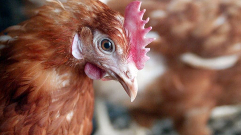 Lehtikuva/Markku Ulander