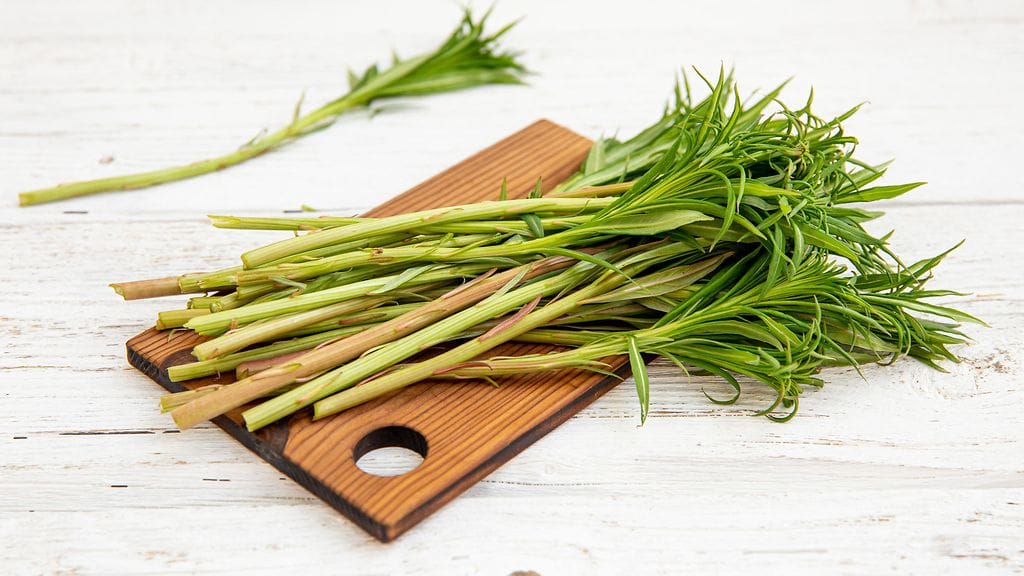 Maitohorsman versoja voi käyttää parsan tapaan. Maitohorsma tunnetaan myös nimellä rentunruusu.