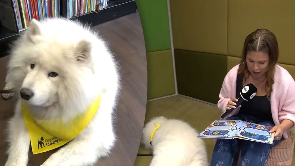 Lukukoira Jymy innostaa kirjojen ääreen