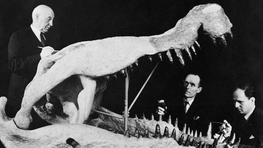 AOP 1950-luvun paleontologit tohtori Brown, R. T. Bird ja tohtori Schlaikjer sekä Amerikan luonnonhistoriallisen museon omistama, entisöity Deinosuchuksen kallo. Sukupuuttoon kuollut Deinosuchus eli myöhäisellä liitukaudella.