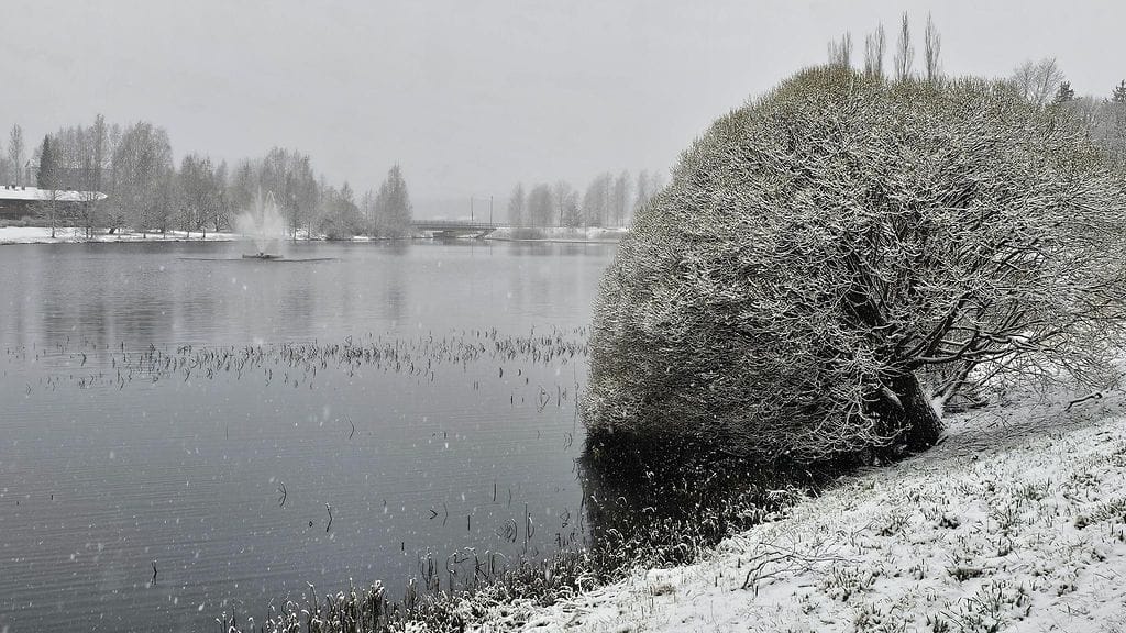 Parkanon Pappilansalmen uusi suihkulähde pulputti lumisateessa 25. huhtikuuta 2025.