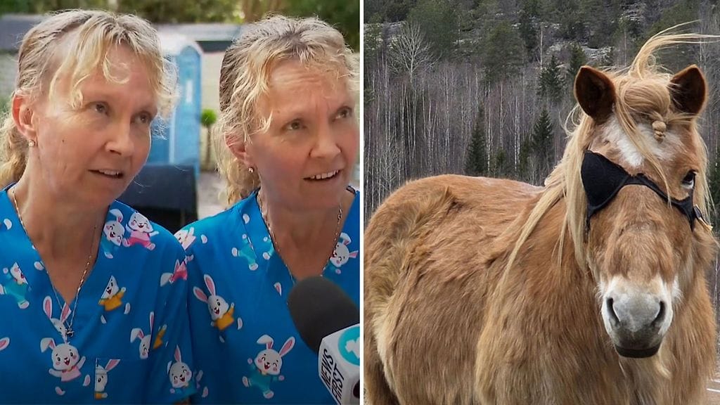 Identtisten kaksosten haastattelusta tuli hitti. Kaisteri sai suojaa rintaliiveistä.